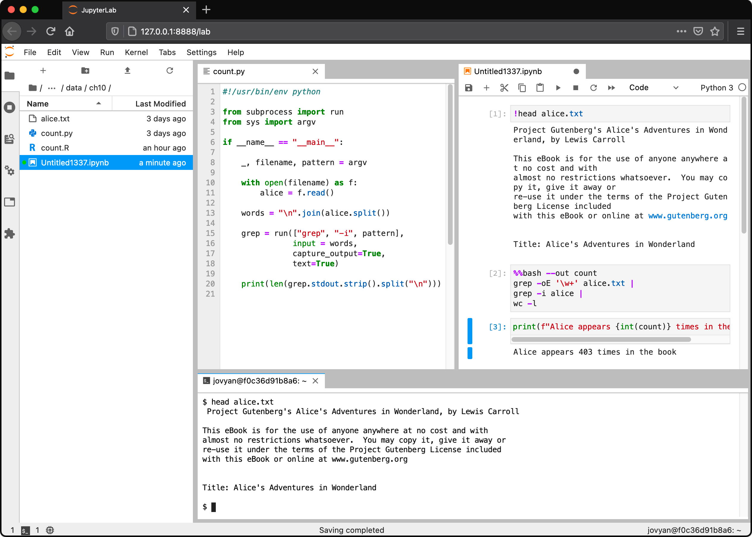 JupyterLab with the file explorer, a code editor, a notebook, and a terminal